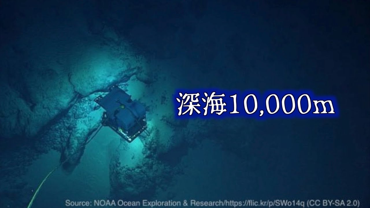 What is at the bottom of the Mariana Trench, the deepest part of