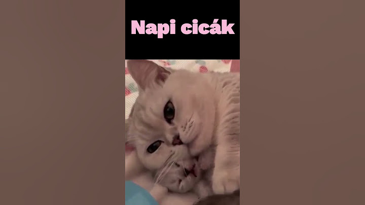 napi cuki cicás video