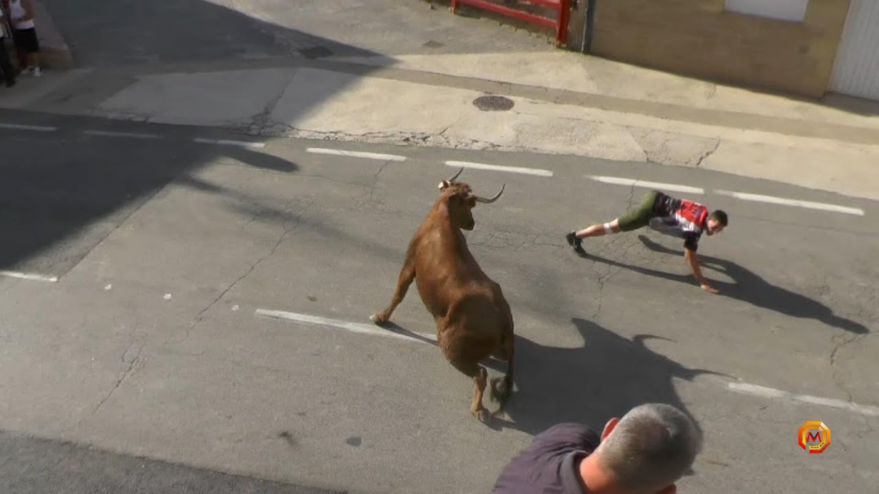 Tv Santacara - 17/08/2023 - Encierro Ganadería Adrián Domínguez.