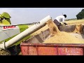 Rice harvesting machine|combined rice harvesting machines|farmers|paddy harvesting|tractor videos