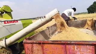 Rice harvesting machine|combined rice harvesting machines|farmers|paddy harvesting|tractor videos