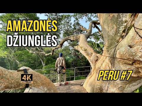 Video: Peru pakrantės, kalnų ir džiunglių geografija