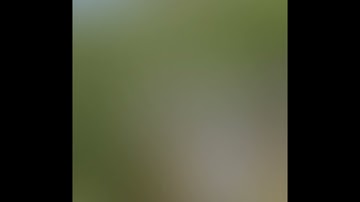 Γ. Παπαδόπουλος Σεισμολόγος: ΤΟ ΡΗΓΜΑ ΤΗΣ ΠΑΡΝΗΘΑΣ ΘΑ ΔΩΣΕΙ ΜΕΓΑΛΟΥΣ ΣΕΙΣΜΟΥΣ ΣΤΟ ΜΕΛΛΟΝ #SHORTS