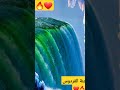 كأنها جنة الفردوس 