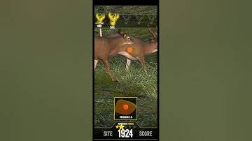 Big Buck Hunter Marksman: Leading shots tips and tricks.