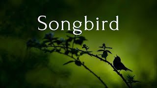 Songbird (Eva Cassidy cover with lyrics) by Anja