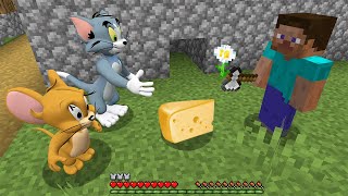 This is Real Tom and Jerry in minecraft - online gameplay