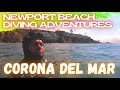 Newport Beach Diving Adventures ! (Corona Del Mar)