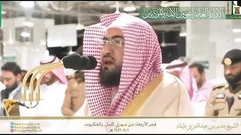 )أَمَّن يُجيبُ المُضطَرَّ إِذا دَعاهُ( تلاوة ممتعة للشيخ د.بندر بليلة من سورة النَمل