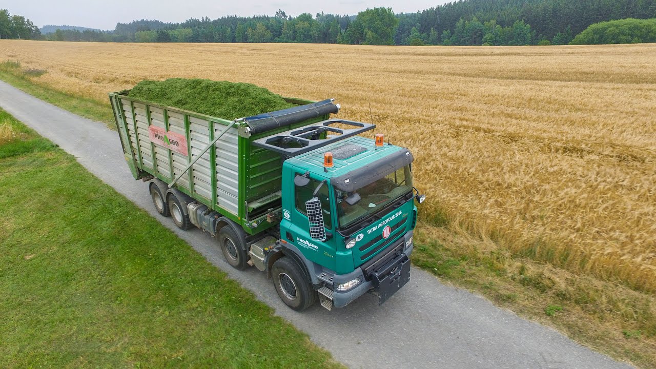 Tatra Phoenix 8X8 + Bergmann HT 40 | Claas Jaguar 870 | Silage
