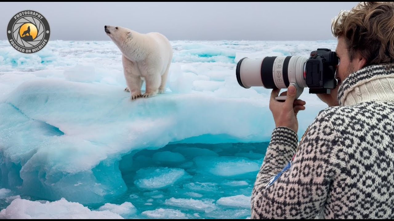 A journey from Svalbard to 83° North