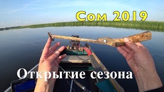 Сом на квок 2019. Открытие сезона.