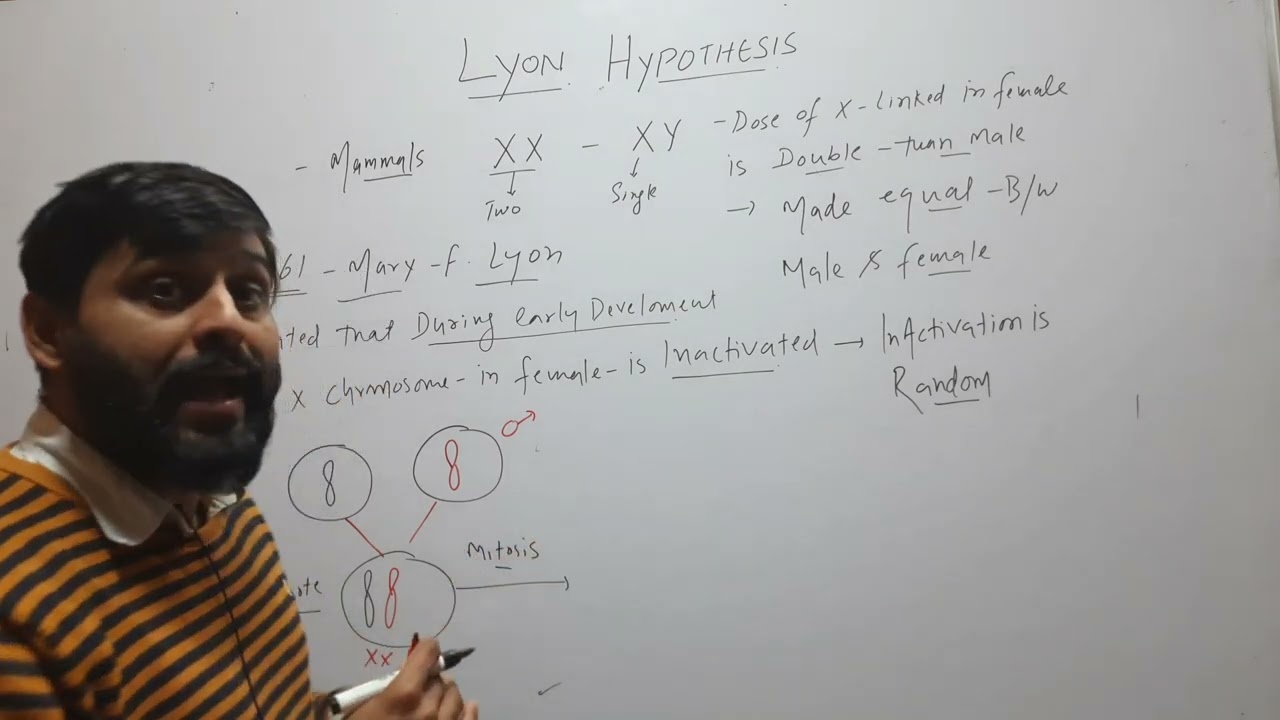 Lyon Hypothesis of X inactivation