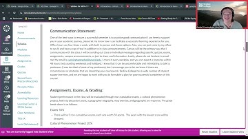 GEOG 110 Spring 2025 - Syllabus & Canvas Walk-Through