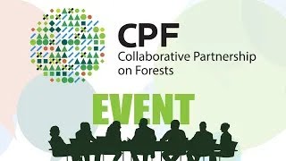 Forest pathways for a green recovery advancing the 2030 Agenda for Sustainable Development