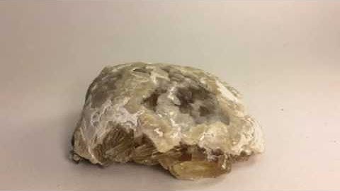 Fossil Calcite Clam Shell! Only found in Ft. Drum Florida. CS6