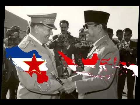 GOOD RELATIONS BETWEEN INDONESIA & SERBIA🇮🇩🤝🇷🇸 #fypシ゚ #geofakta #geography #faktadunia #infodunia
