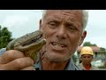 Craziest Anaconda Encounters | River Monsters | Animal Planet