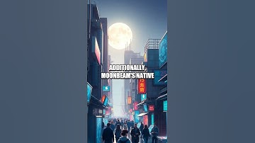 Moonbeam: Bridging Multi-Chain Smart Contract Deployments