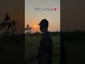 Village sukoon #viralvideo #virals #viralshorts2025 #viralshorts