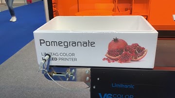 V6 CMYK Printing Full Color on EPS Box