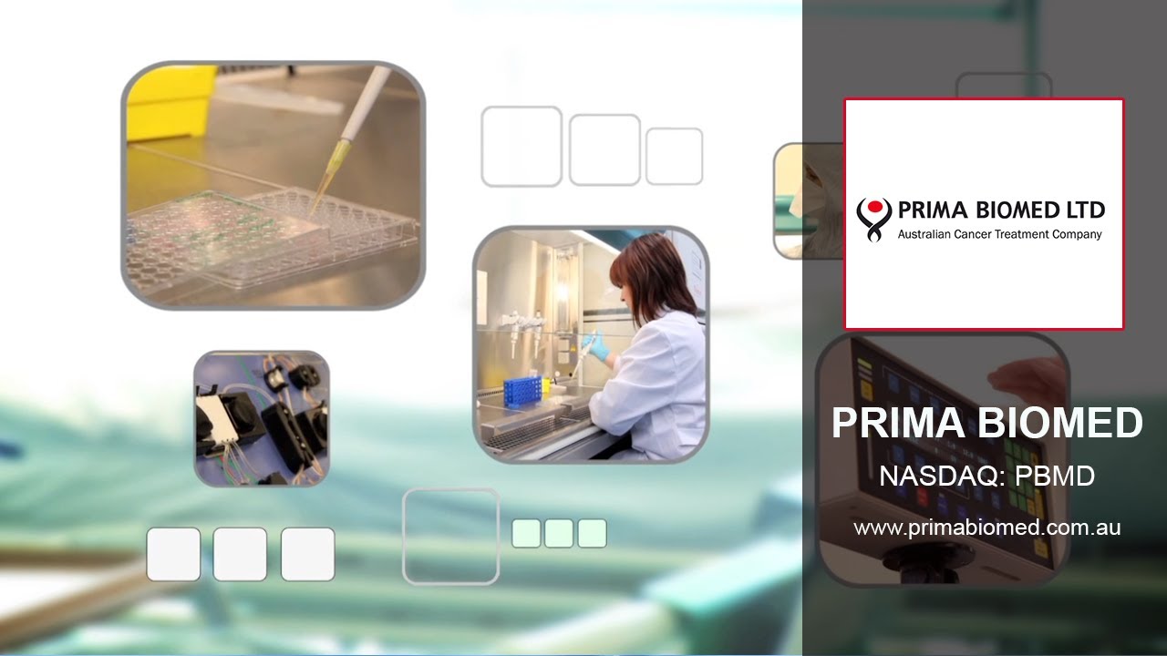 CEO ROADSHOW | Interview | Prima Biomed (NASDAQ: PBMD)