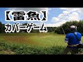 お待たせしました。大久保 幸三のライギョ2021