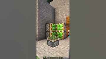 this Door Is LITERALLY Automatic in Minecraft