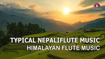 Typical Nepali Flute Music | Himalayan Flute Music | Nepali Folk Music | (बाँसुरी) Aparmita Ep. 156