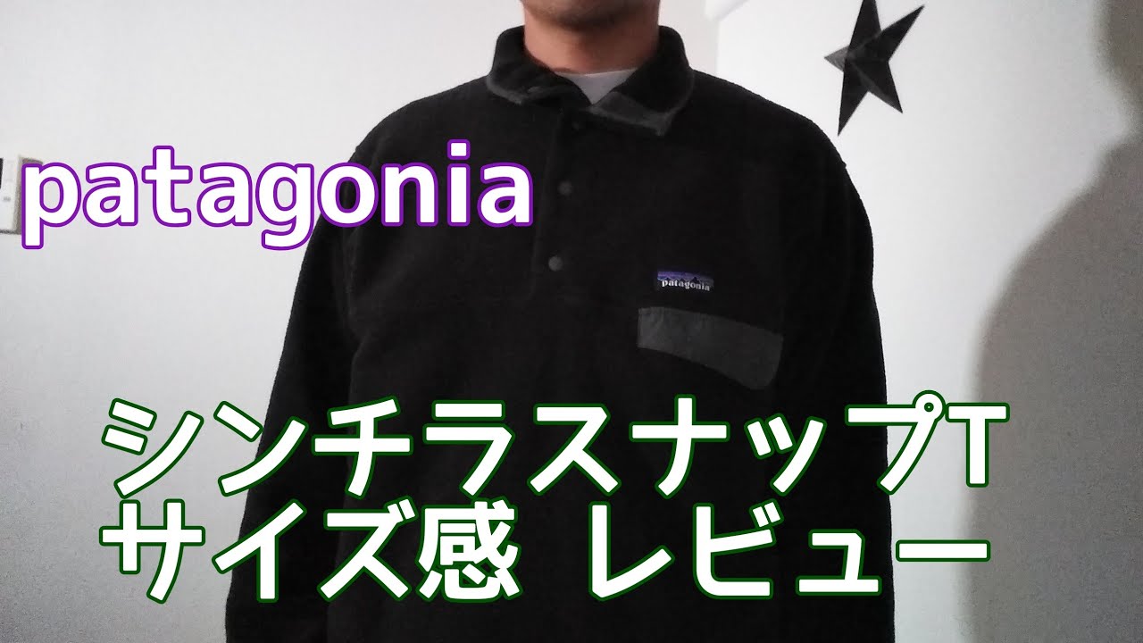 patagonia 20aw シンチラ スナップT ブラック グレー 野村周平