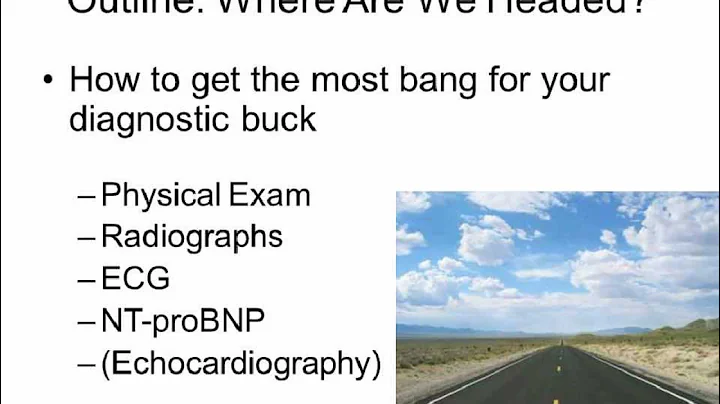 Feline Heart Disease - Tricks for Maximizing Your Diagnostic Capability