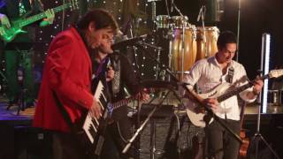 Rayman By Rémi - Live Rayman 1 Covers By Rémi With His Band