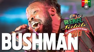 Bushman Live at Rebel Salute 2017