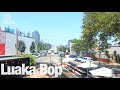 Luaka bop thelotradio 07112023