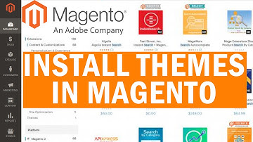 How to Install Themes in Magento?