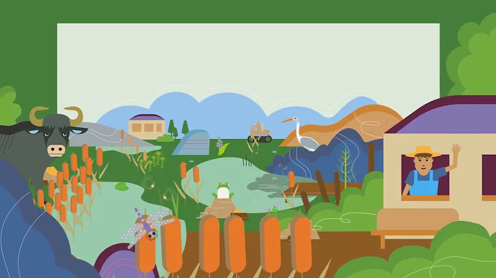 Peatlands explained: This is how mires protect our climate