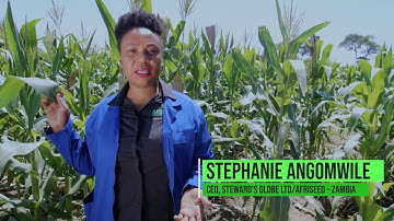 Stepanie Angomwile,   Afri Seeds, Zambia