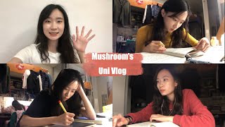 清華Study Vlog#10 |大三上GPA4.2📚 讀書小技巧分享 | MushroomWang🍄