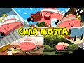 5 Способов Улучшить Работу Мозга (Как Стать Ментально Сильнее)