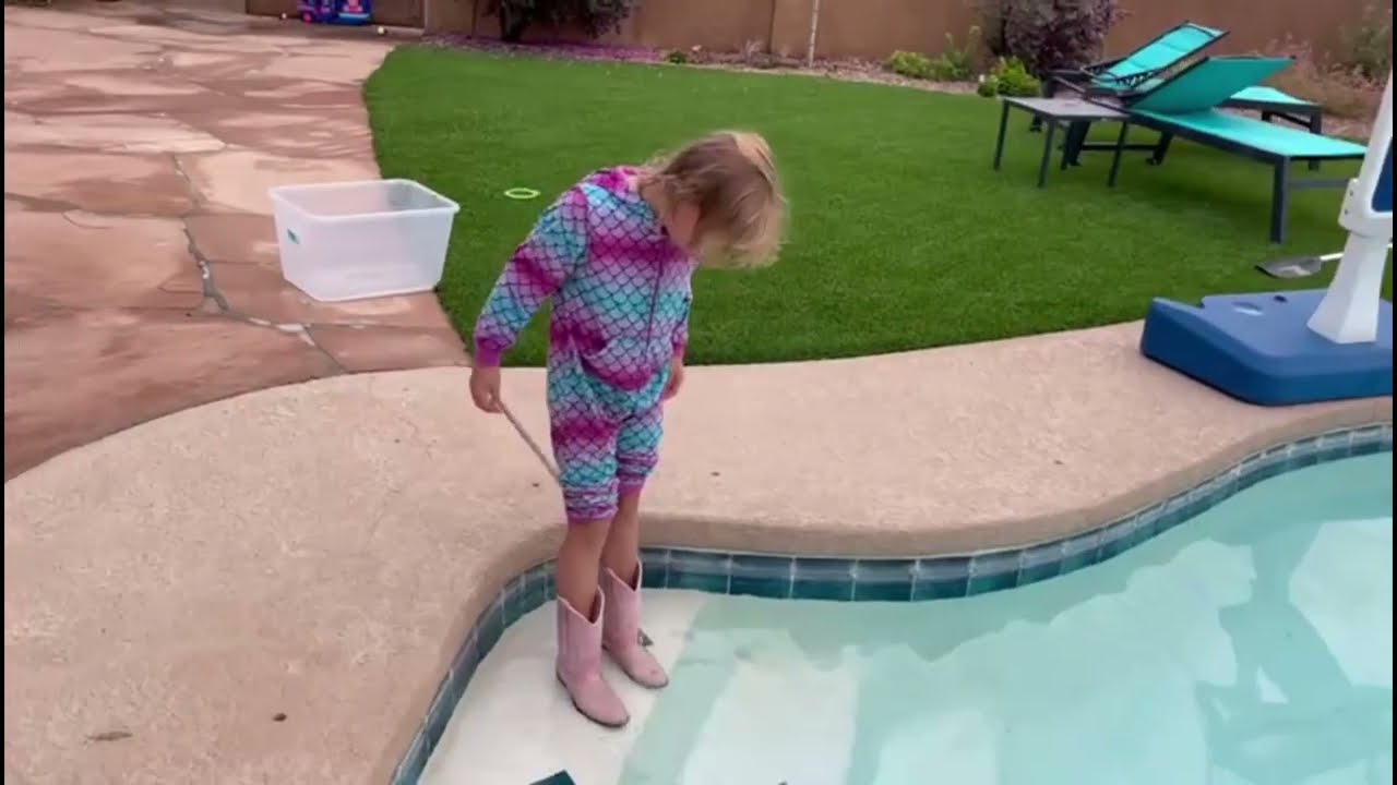 Monday morning frog rescues at The Quirky Farm! 