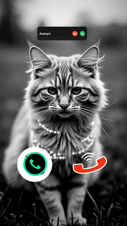 #smartphone #ringtone #tech #call #ringtones #iphone #mobiletech #innovation #unveiling #iphone15