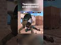 Тренировки Cyberhero перед турниром!  #standoff2 #cyberhero #стандофф2