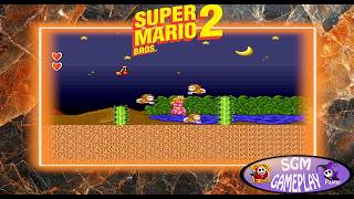 WORLD 2-3-SUPER MARIO BROS 2