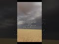 ما قل دل وزبدة الهرج نيشان شعر