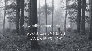 《和訳》illicit affairs - Taylor Swift