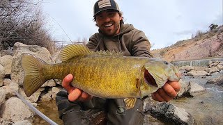Catch \& Cook TASTY Smallmouth BASS!!!