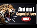 Animal Superlatives Quiz