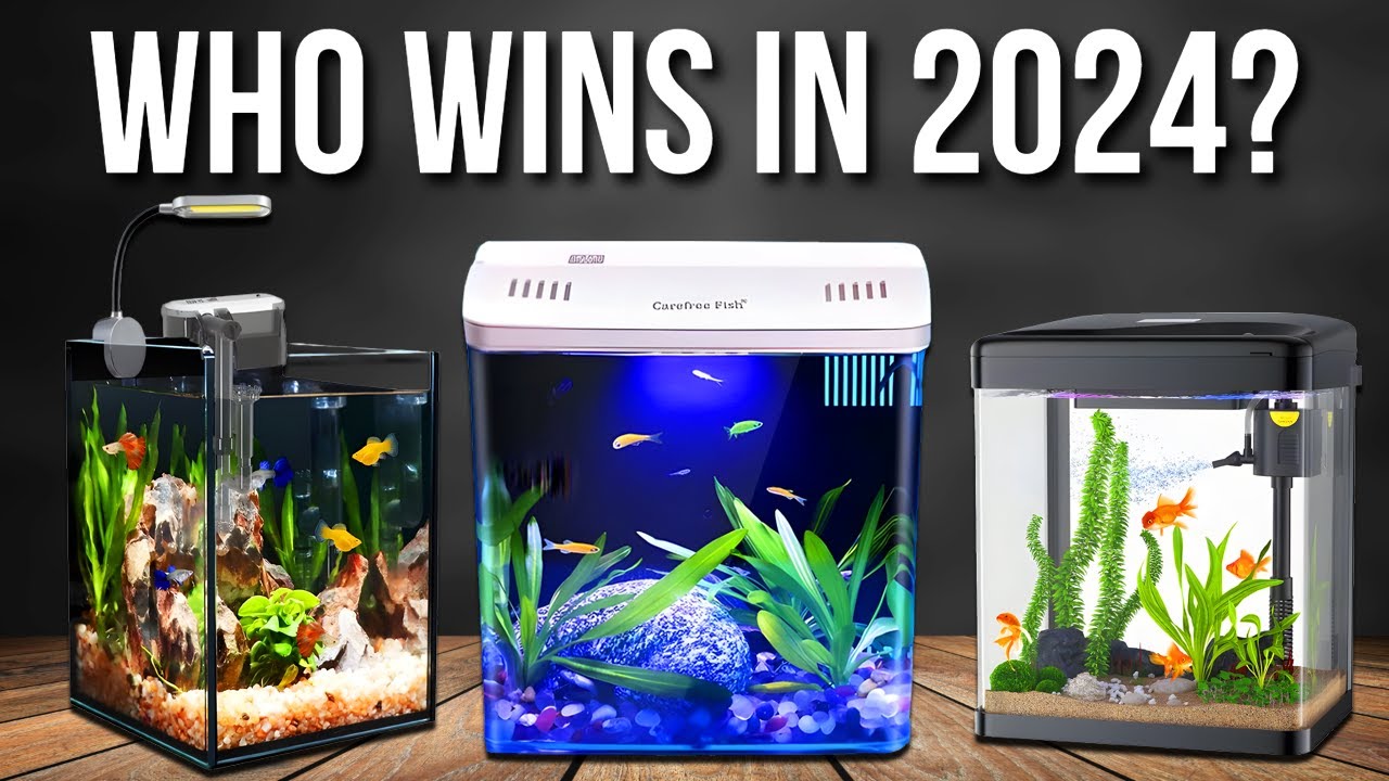 I Reviewed the 5 Best Small Fish Tanks in 2024 