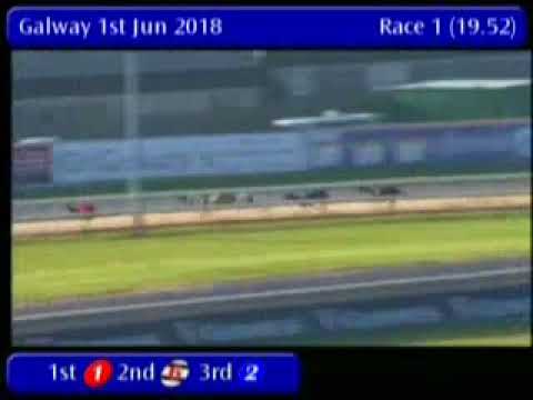 IGB - The Facebook, Twitter & Instagram  01/06/2018 Race 1 - Galway
