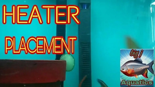 Best placements for aquarium heaters